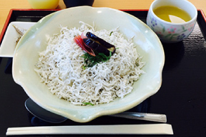 ①安芸しらす食堂（(株)安芸水産）