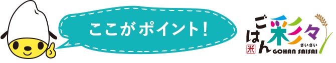 ここがポイント！