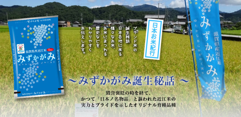 みずかがみ誕生秘話 毀誉褒貶の時を経て かつて 日本ノ名物品 と謳われた近江米の実力とプライドを示したオリジナル育種品種 ごはん彩々 全米販