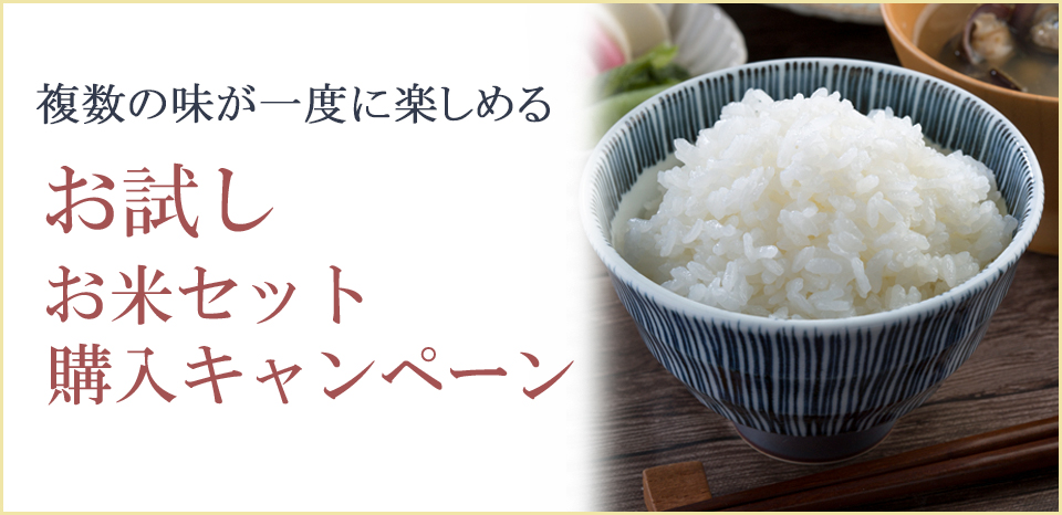 お米の歴史について知りたい 日本でお米が主食になったのはなぜ ごはん彩々 全米販