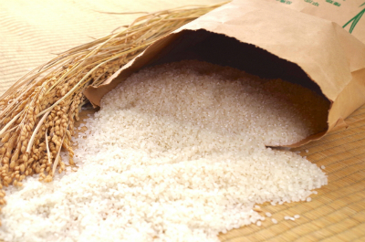 お米の保存方法 夏の高温多湿から守るポイント ごはん彩々 全米販