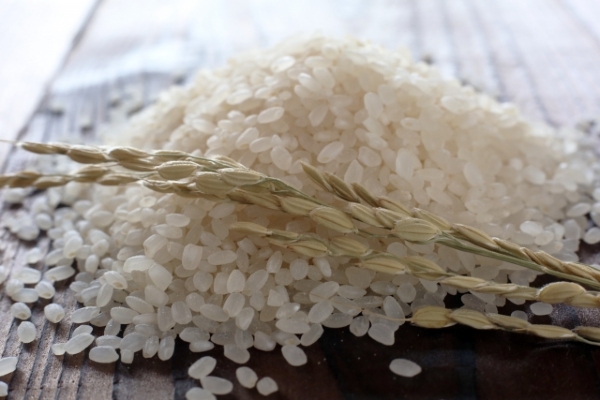 お米の白いものは食べてもいいの 粉状質粒ってどんなもの ごはん彩々 全米販