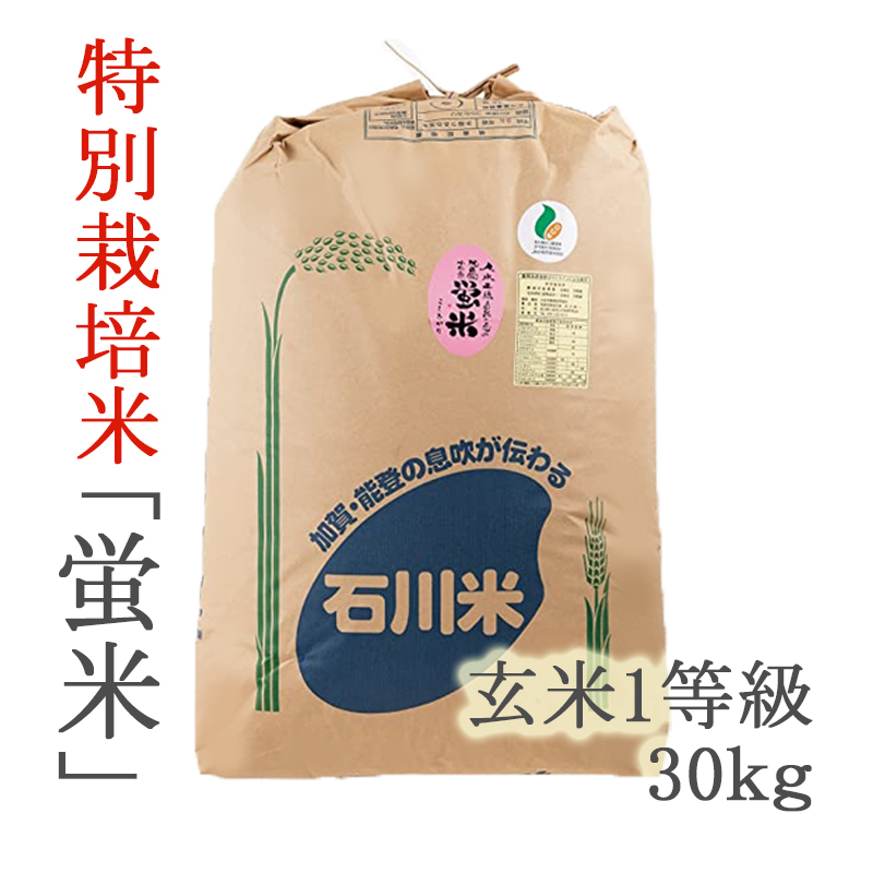 精米24kg(2kg×12袋)　通販　ふるさと納税　令和5年産　七尾市　石川県能登産こしひかり