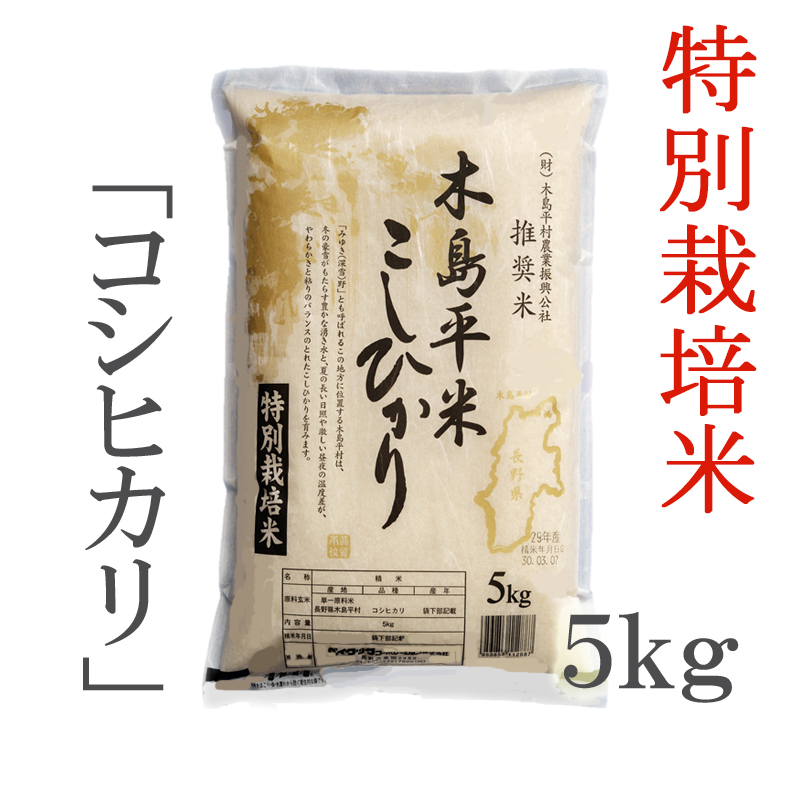 市場 令和3年産こしひかり JAS 有名ブランド 白米 お米 無農薬 JAS認定 木島平産 有機栽培米 丸山さん家の無農薬 長野県 5kg