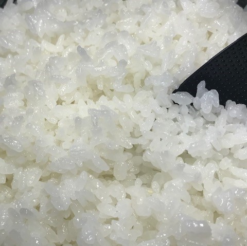 送料無料 【令和6年産】伝承の銘米/ 会津産コシヒカリ 10kg 送料無料 【令和6年産】伝承の銘米/ 会津産コシヒカリ 10kg