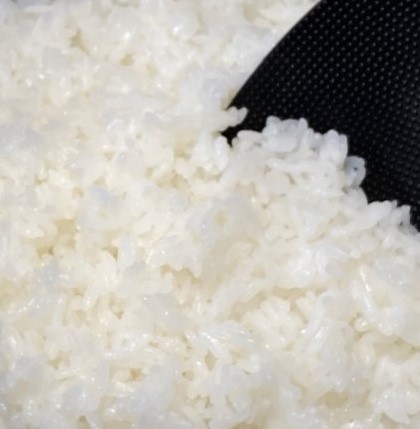 令和5年産】讃岐あきさかり5kg | ごはん彩々(全米販) 令和5年産】讃岐あきさかり5kg | ごはん彩々(全米販)