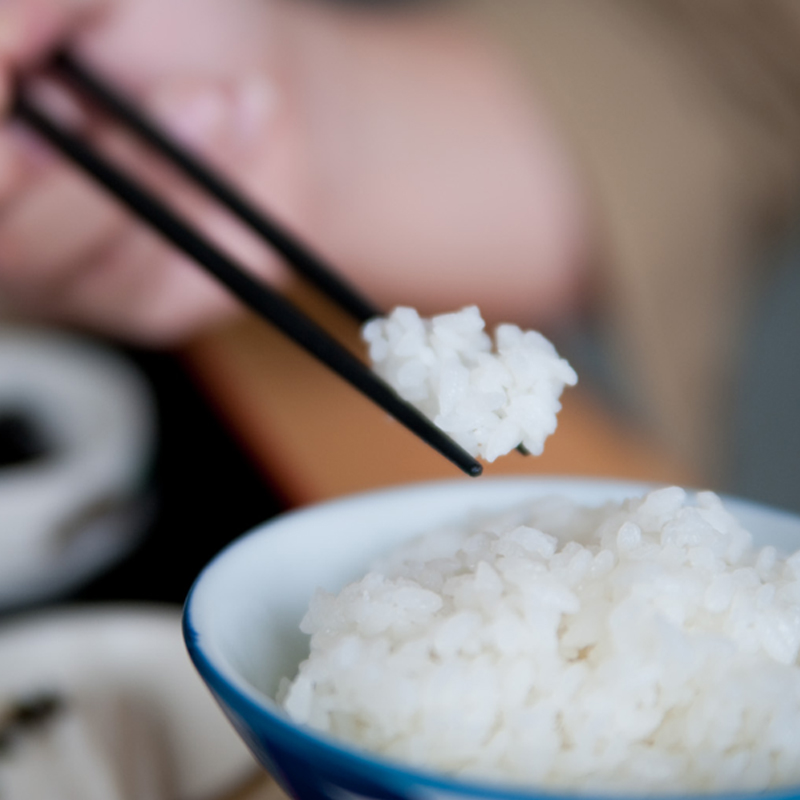 令和4年産】新潟県産(小国)棚田米こしひかり5kg | ごはん彩々 ...