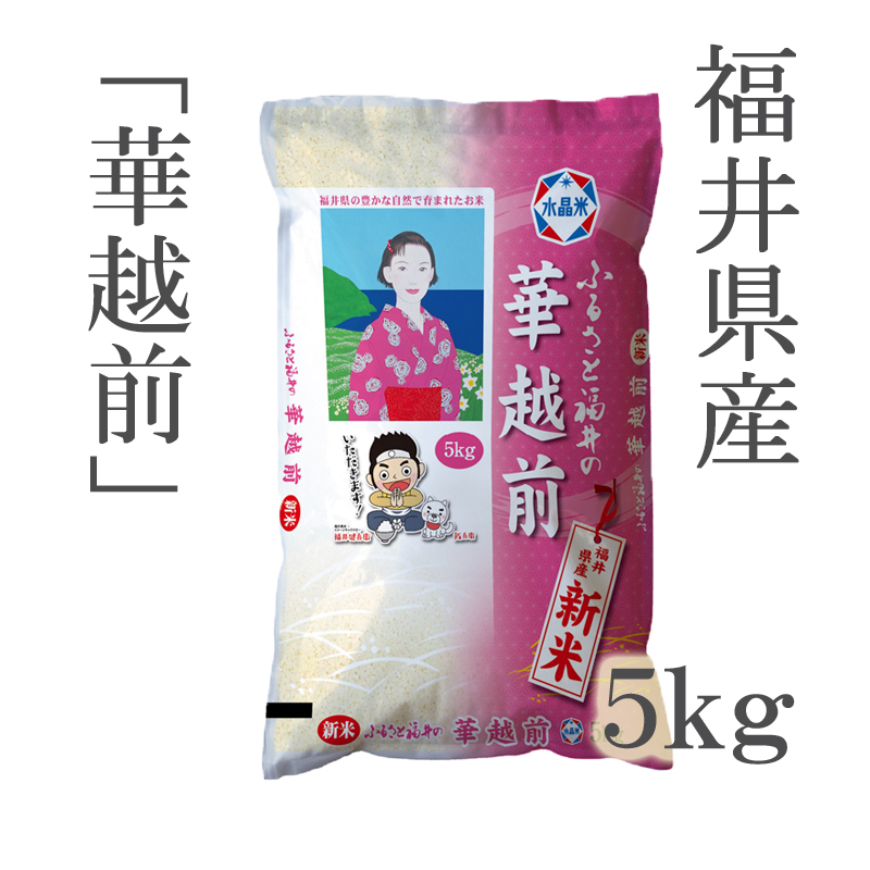令和４年産】福井県産いちほまれ１ｋｇ | ごはん彩々（全米販）