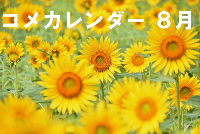 コメカレンダー８月 ごはん彩々 全米販