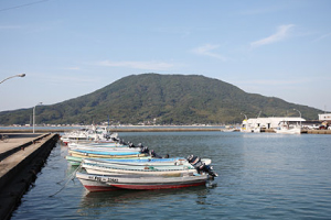 全国的に知られる糸島の鯛とカキ