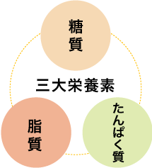 三大栄養素の図