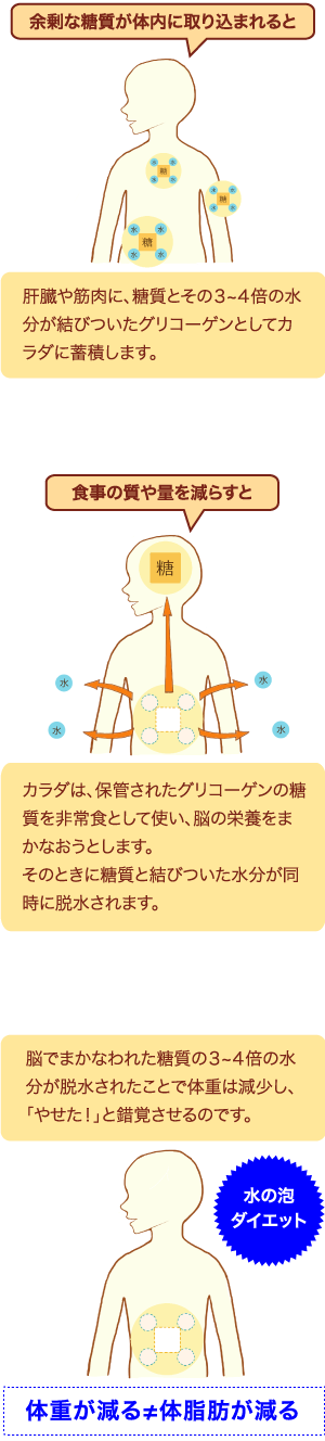 体重と脂肪の関係図