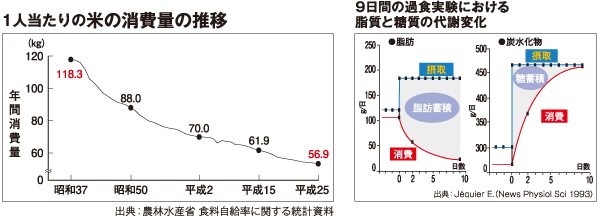 ごはん彩々 お米な国の楽しい話 特集10月号 ごはんを食べて 正しい ダイエットを Page 3