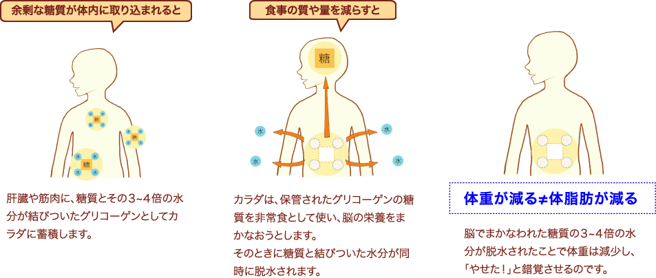 体脂肪が減るイメージ図