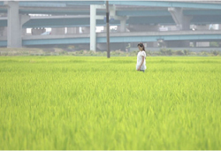 映画ごはん