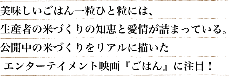 美味しいごはん一粒ひと粒には、生産者の米づくりの知恵と愛情が詰まっている。公開中の米づくりをリアルに描いた エンターテイメント映画『ごはん』に注目！