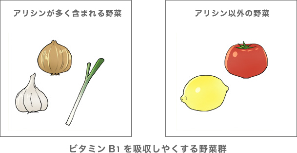 ビタミンB1を吸収しやくする野菜群