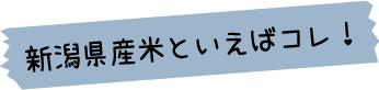 新潟産米といえばこれ