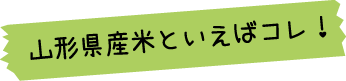 山形県産米といえばこれ