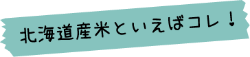 北海道産米といえばこれ