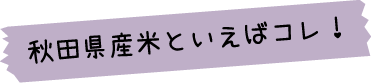 秋田産米といえばこれ